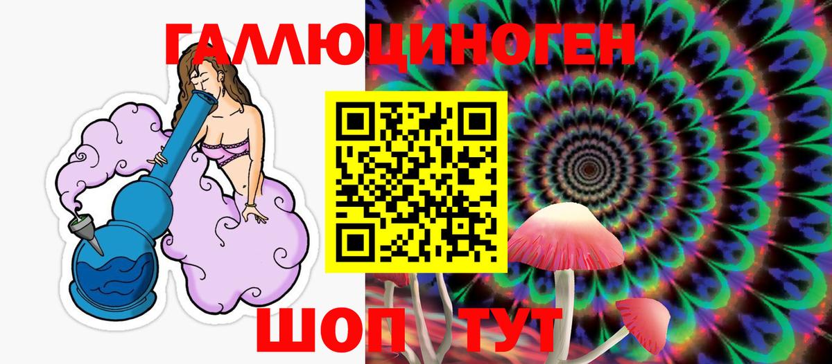 Псилоцибиновые грибы Psilocybe Москва